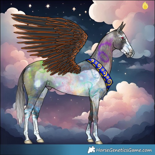 Horse Color:Buckskin Roan Mushroom Sabino Frame 
