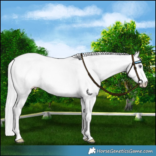 Horse Color:Silver Perlino Chinchilla 