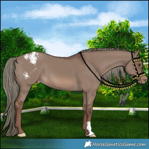 Horse Color:Liver Red Dun Mushroom Varnish 