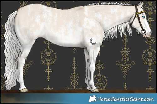 Horse Color:Silver Perlino Dun Sabino Rabicano 