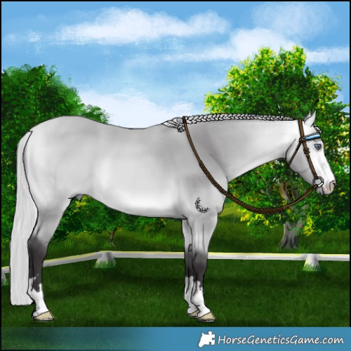 Horse Color:Silver Buckskin Chinchilla 