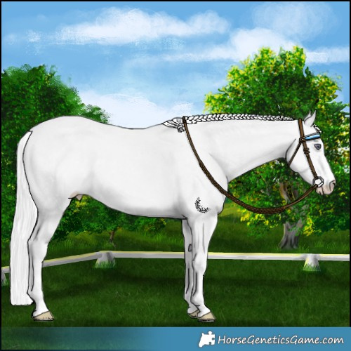 Horse Color:Silver Smoky Creme Chinchilla 