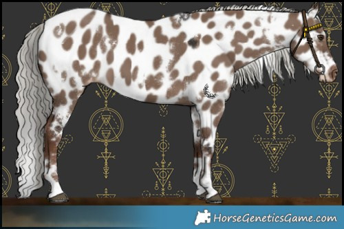 Horse Color:White Spotted Liver Red Dun Mushroom Near Leopard 