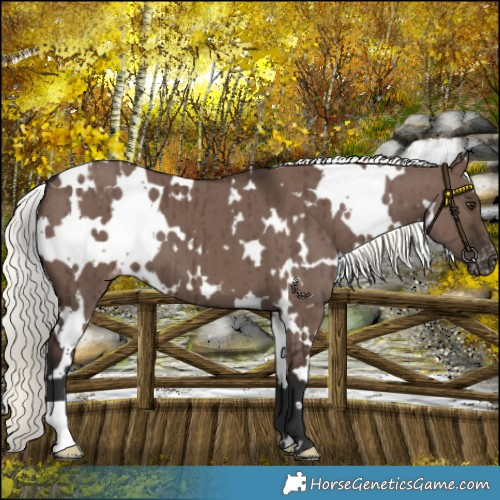 Horse Color:White Spotted Liver Red Dun Mushroom Varnish Brindle 