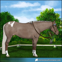 Horse Color:Liver Red Dun Mushroom Varnish