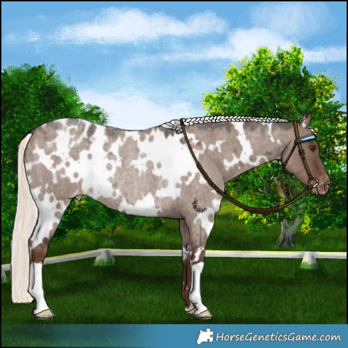 Horse Color:White Spotted Liver Red Dun Roan Mushroom Varnish Rabicano 
