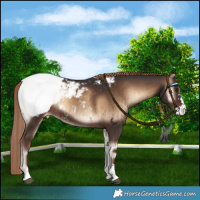 Horse Color:Liver Red Onyx Snowcap Brindle 