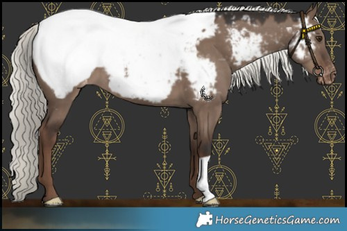 Horse Color:Liver Red Dun Mushroom Near Fewspot 