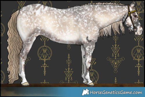 Horse Color:Liver Red Onyx Roan Snowflake Varnish 