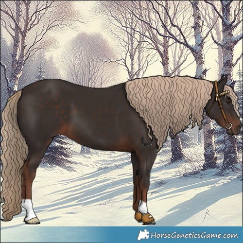 Horse Color:Liver Chestnut 