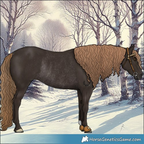 Horse Color:Liver Chestnut Rabicano 