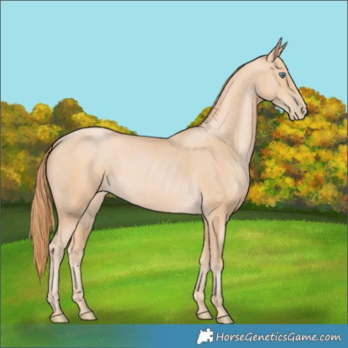 Horse Color:Smoky Black Pearl