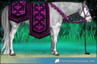 Horse Color:Blue Roan Splash