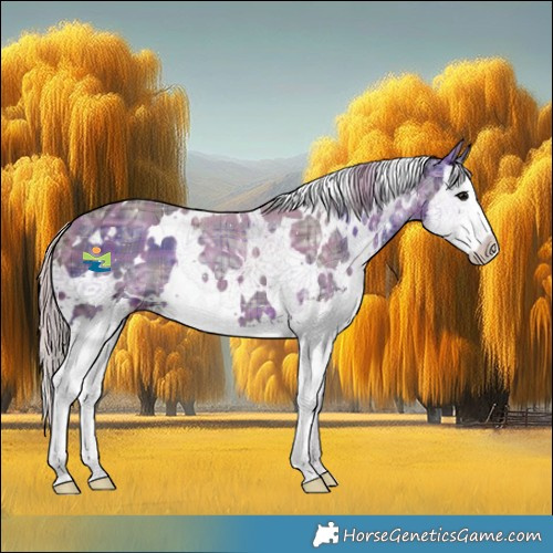 Horse Color:Plaid  White Spotted Chocolate Silver Black Ice Splash 