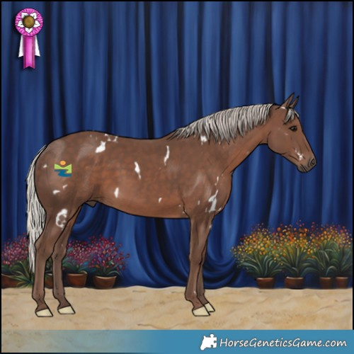 Horse Color:White Spotted Silver Black 