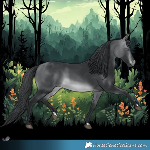 Horse Color:Brown Chinchilla