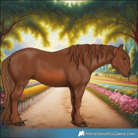 Horse Color:Chestnut 