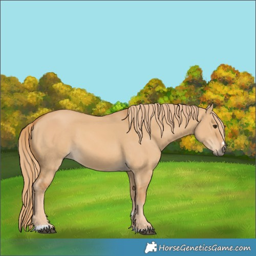 Horse Color:Red Dun 