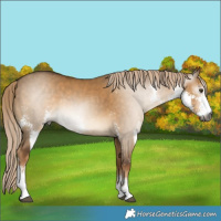 Horse Color:Gray Chocolate Palomino Dun Sabino 