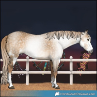 Horse Color:Gray Chocolate Palomino Dun Sabino