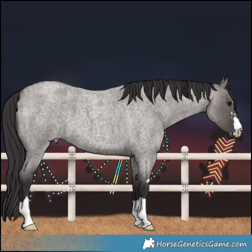 Horse Color:Smoky Grullo Roan 