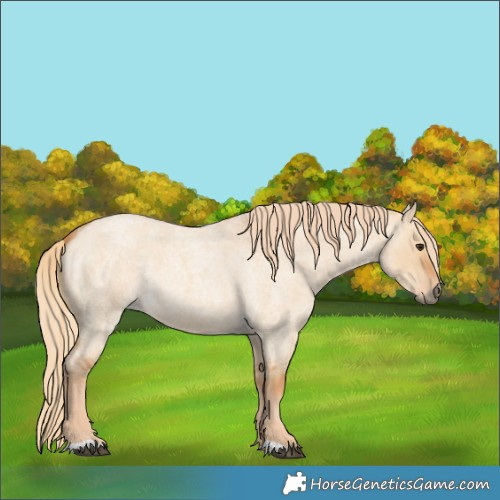 Horse Color:Red Dun Roan