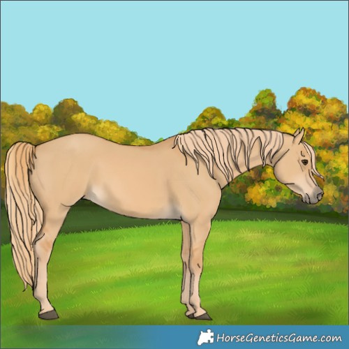 Horse Color:Red Dun 