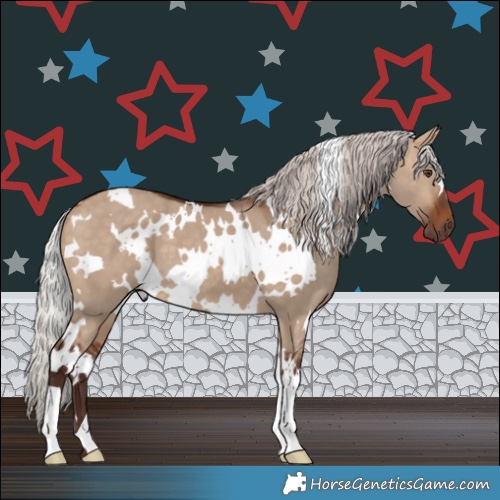 Horse Color:White Spotted Silver Bay Dun 
