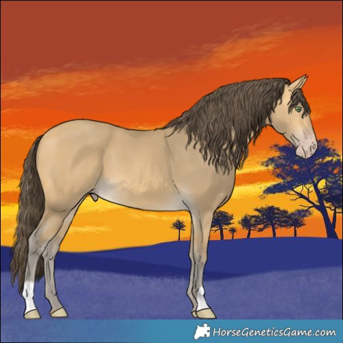 Horse Color:Sable Cream Champagne 