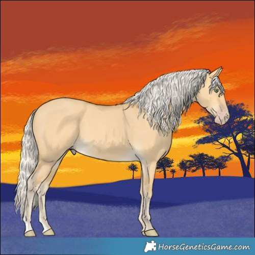 Horse Color:Silver Amber Cream Champagne Dun