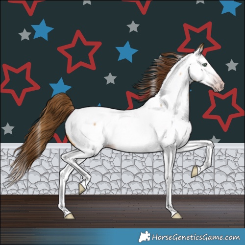 Horse Color:Gray Amber Cream Champagne Roan Dun Splash Appaloosa 