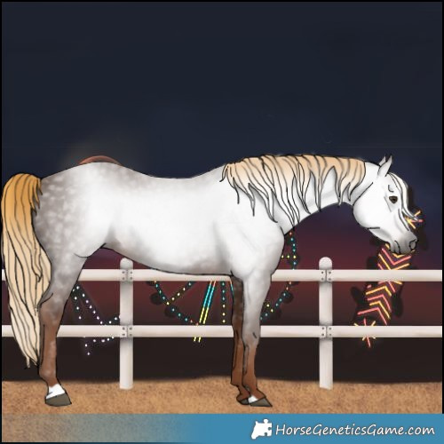 Horse Color:Gray Chestnut
