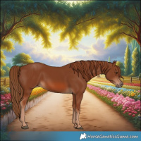 Horse Color:Chestnut 