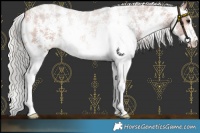 Horse Color:Silver Bay Sabino 