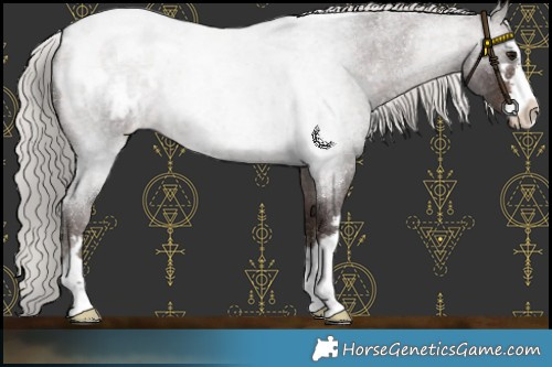 Horse Color:Silver Brown Roan Blanket 