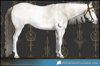 Horse Color:Sable Cream Champagne Roan Sabino 