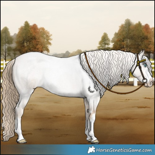 Horse Color:Smoky Creme Roan 
