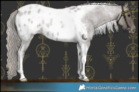 Horse Color:Silver Blue Roan Tobiano Blanket 