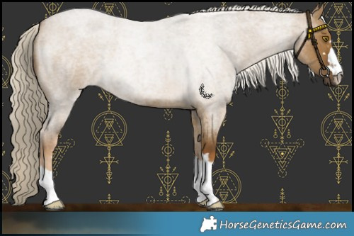 Horse Color:Chocolate Palomino Roan Dun 