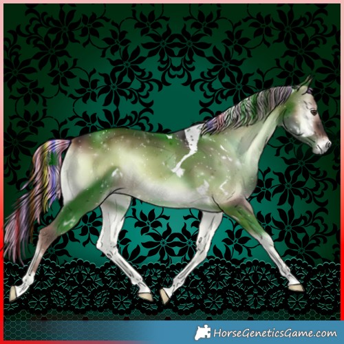 Horse Color:Painted White Spotted Liver Red Onyx Tobiano 