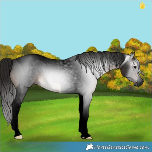 Horse Color:Gray Void Brown Tobiano Varnish 
