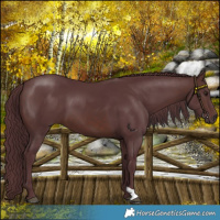 Horse Color:Chocolate Brown 