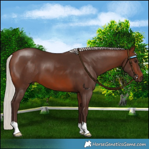 Horse Color:Silver Brown