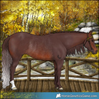 Horse Color:Chocolate Brown Rabicano 