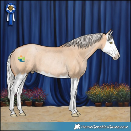 Horse Color:Silver Bay Pearl Dun Splash Rabicano
