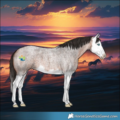 Horse Color:Bay Roan Splash 