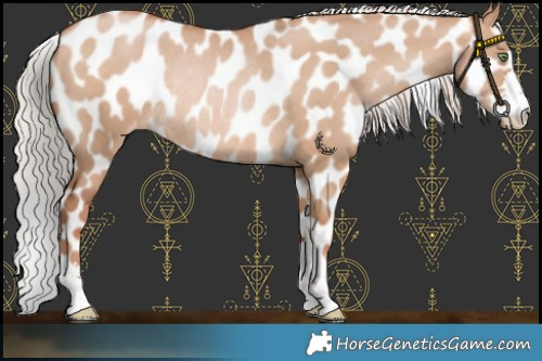 Horse Color:Chocolate Silver Brown Pearl Dun Leopard Rabicano 