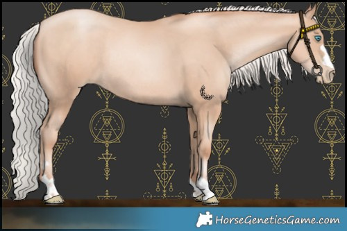 Horse Color:Silver Sable Champagne Pearl Rabicano 