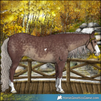 Horse Color:Chocolate Silver Smoky Black 