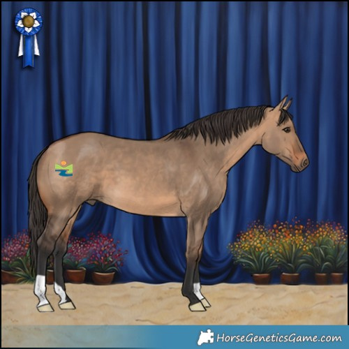 Horse Color:Bay Dun 